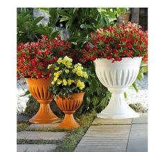 VASI TONDI E SOTTOVASI