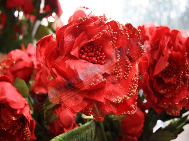 PEONIA SINGLE w / BEADS 57576
