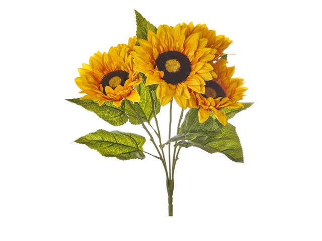 BUSH GIRASOLI x 5 H.CM.50 A30008