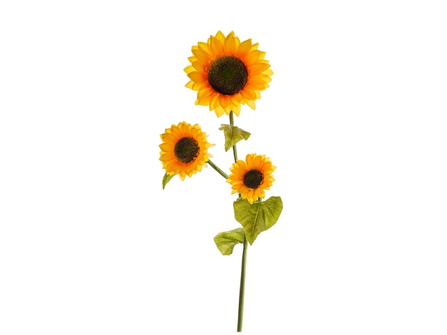 GIRASOLE x 3 CM.120
