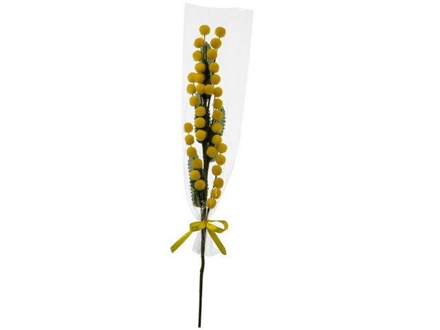 FIORE MIMOSA X 36 INCARTATA CM.58   A22323