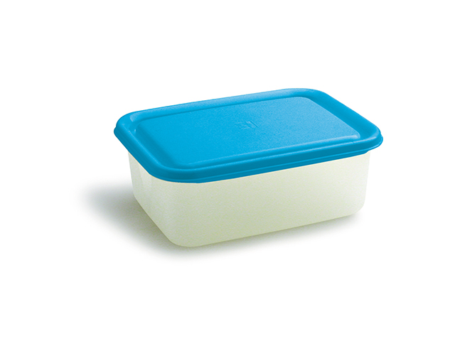 FRIGOCHEF RETT.LT. 1,25 CM.19X7X15   BELLI E FORTI