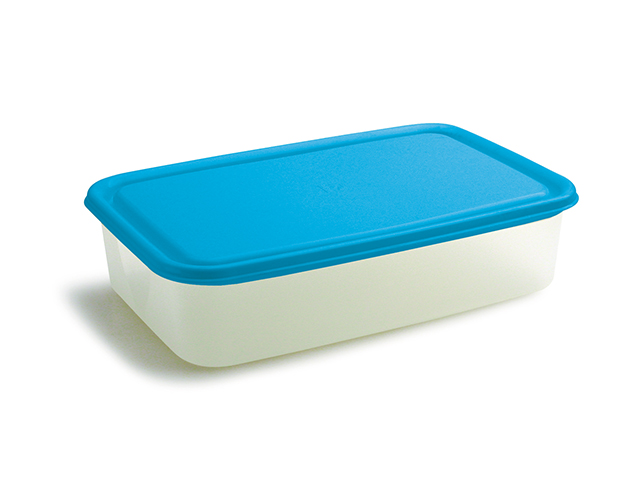 FRIGOCHEF RETT.LT. 2,70 CM.29X7X19   BELLI E FORTI