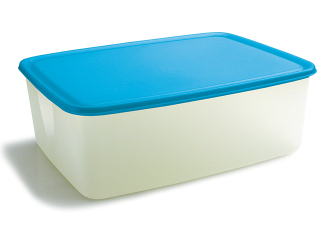 FRIGOCASSETTA LT.10,00 38X13X28,5