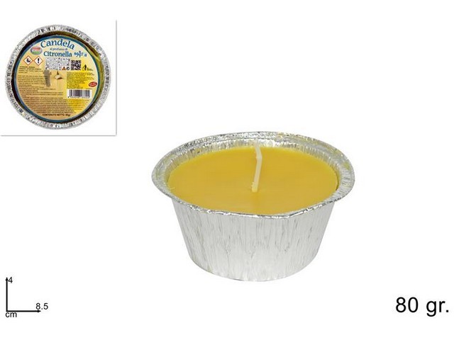CITRONELLA IN VASETTO ALLUM.PIC6024BUDINO