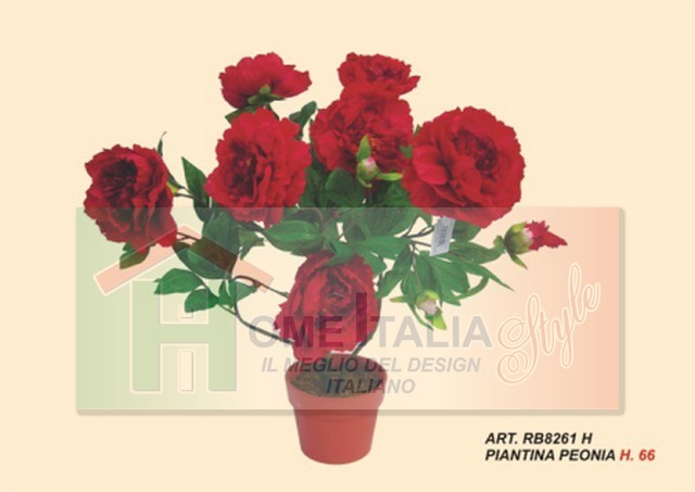 PIANTINA POEMIA h.66 RB8261