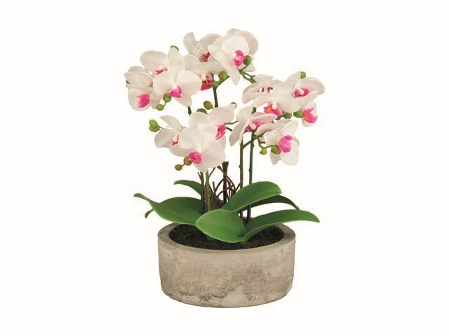 PIANTA ORCHIDEA H36CM WIDEODE 49341