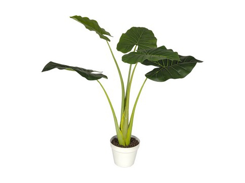 PIANTA FILODENDRO REAL TOUCH H70 70CMCHI 47656