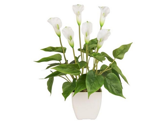 PIANTA CALLA REAL TOUCH X6 H45 WHITE 45CMCHI 47654