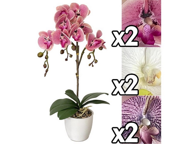 ORCHIDEA REAL TOUCH VASO 54CM 3ASS.MEI 60170
