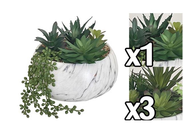 VASO COMPOSIZ.PIANTA GRASSA 22X22X21ASS.BEC 60046