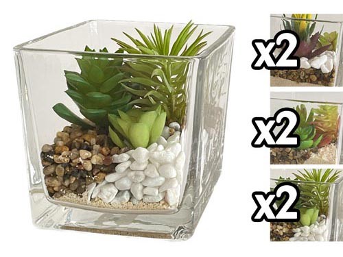 PIANTA GRASSA VASO QUADRATO VETRO 12*12CM 3 ASS.GHA 60053