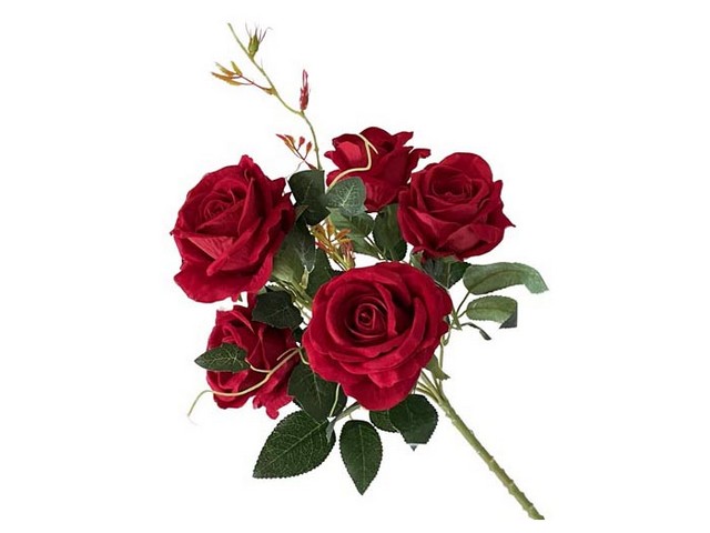 BUSH 6 ROSE VELVET 54*16CMLUC 59797