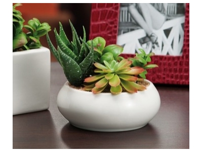 VASO+PIANT GR A3M2C DIAM12XH5