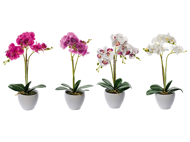 VASO C/ORCHIDEA 16F A4C DIAM14XH50