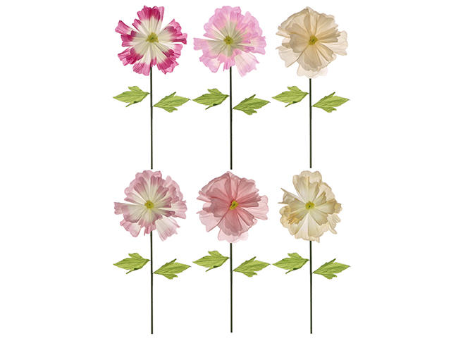 FIORE IN CARTA XDEC ASS6COL CM140 112194