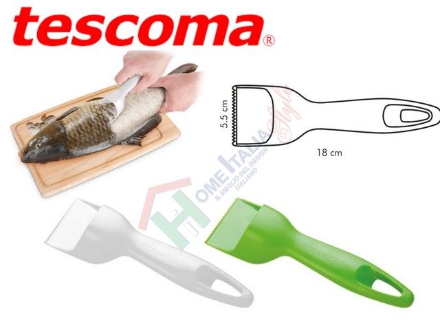 SQUAMA PESCE C/RACCOGLITORE 420121